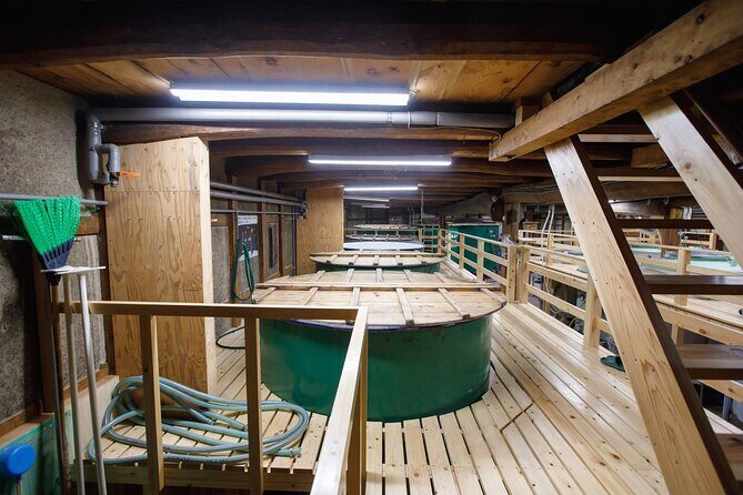 Osaka Sake Brewery Tour and Tasting - The Value of This Sake Tour