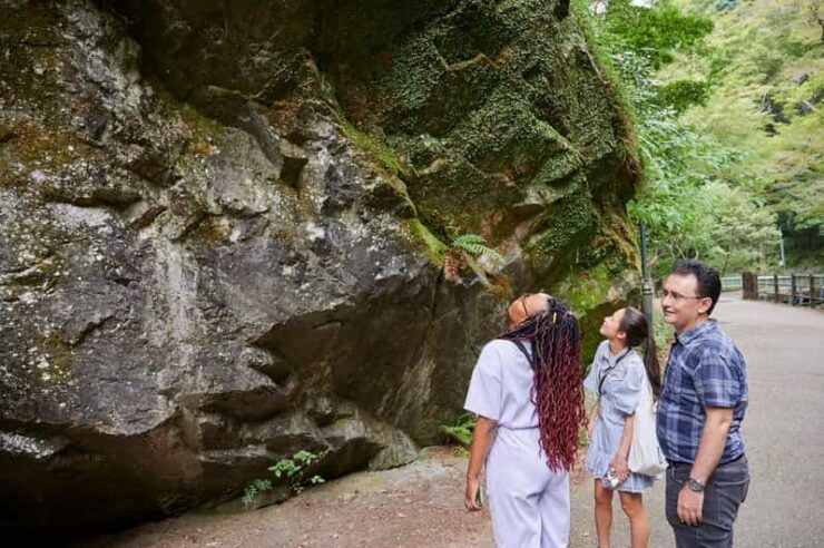 Osaka: Scenic Hiking Guided Tour to Minoo Waterfall - 2.5h - Itinerary Highlights