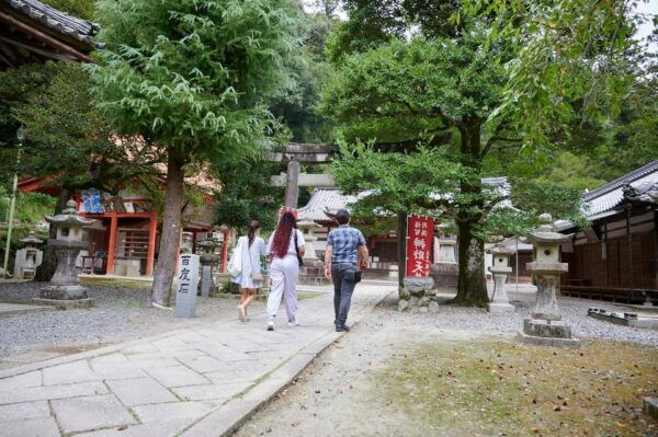 Osaka: Scenic Hiking Guided Tour to Minoo Waterfall - 2.5h - Transportation Options