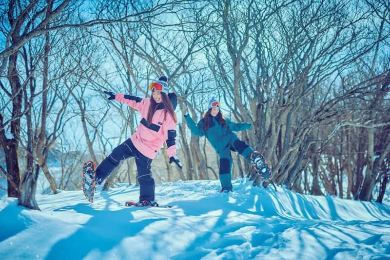 Osaka: Shiga Biwako Valley Winter Ski Day Tour opt lesson - The value and who it’s best for