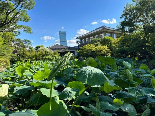 Osaka: Shitennoji, One of the Oldest Temples in Japan - Tour - Visitor Tips and Recommendations