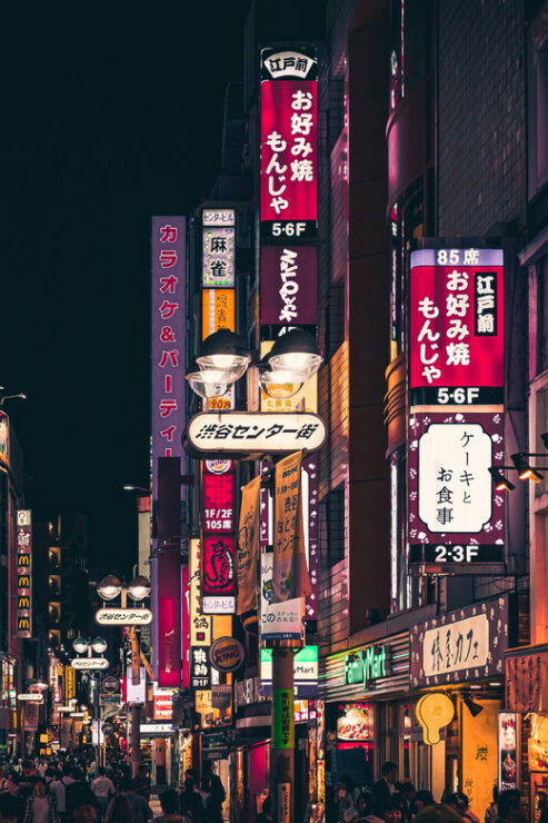 Osaka: Shopping Day in Denden Town (Electric Town) - Itinerary and Activities