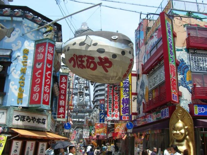 Osaka: Shopping Day in Denden Town (Electric Town) - Additional Options and Notes