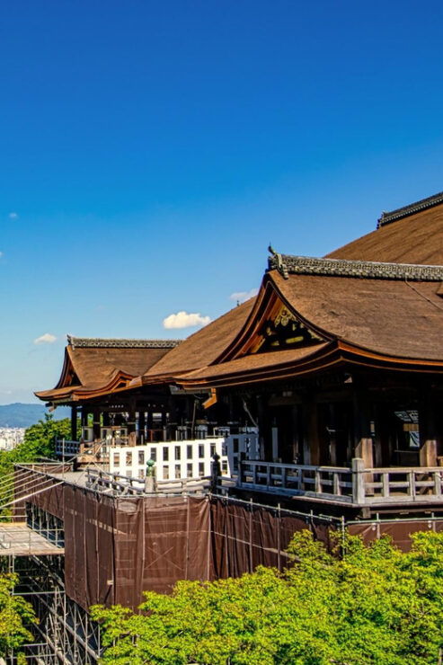 Osaka Shore Excursion to Kyoto - Experience and Highlights