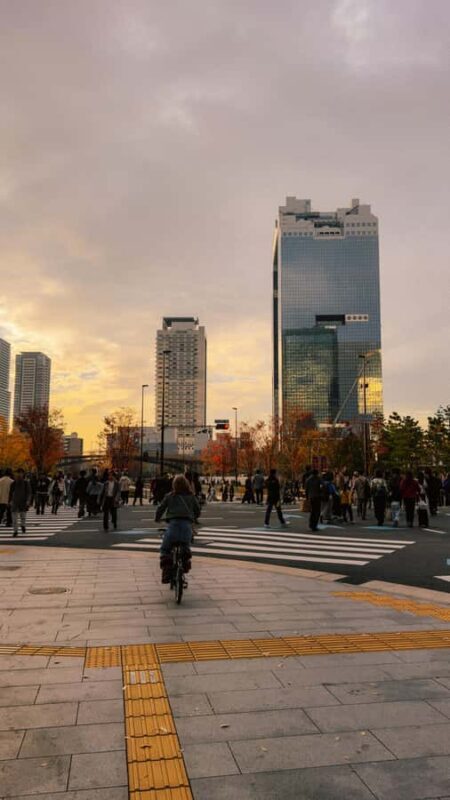 Osaka Sightseeing ,Hidden Gems with Luxury Vehicle &English - FAQ