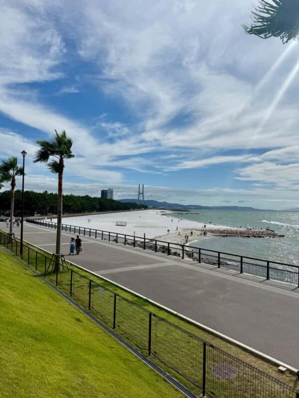 Osaka South Day Trip: History, Seafood, Shopping & Sweets - The Practicalities: What You Need to Know