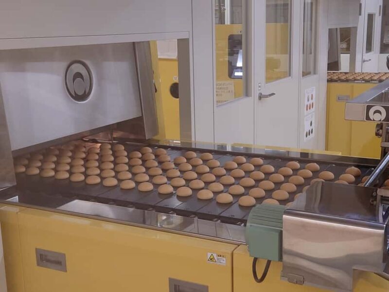 Osaka South Day Trip: History, Seafood, Shopping & Sweets - Final Thoughts