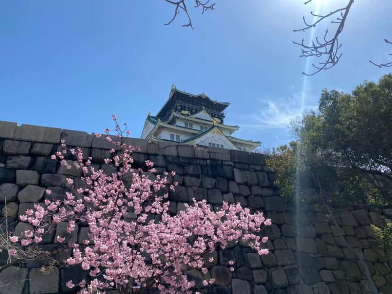 Osaka: Springtime Sakura Picnic "Hanami" - FAQs