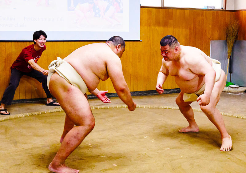 Osaka: Sumo Experience with Live Show & Audience Challenge - Price, packages, and what is included