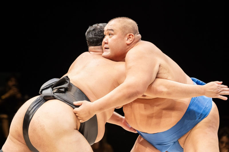 Osaka Sumo Show Experience with Food & Drinks - Should you book it?
