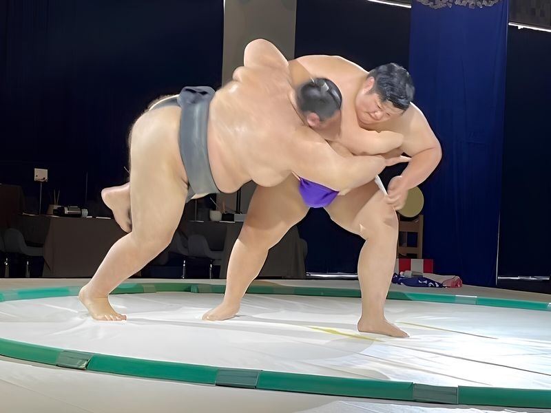 Osaka Sumo Show: Sumo Experience, Kimono Dress-Up & Chanko Nabe - Sumo lessons, comedy, and a ring-side bout