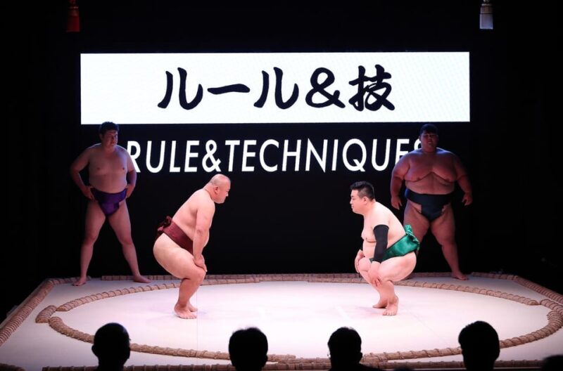 Osaka: Sumo Stage Show with Bento & Fight + Photo Shooting - A Complete Breakdown of the Experience