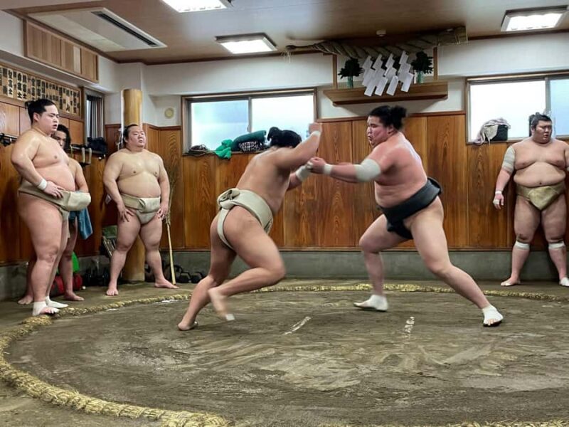 Osaka: Sumo Wrestling Real Practice Viewing Guided Tour - Osaka: Sumo Wrestling Real Practice Viewing Guided Tour – A Detailed Review