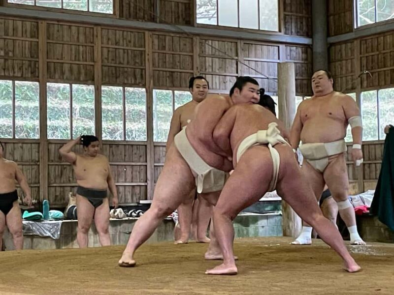 Osaka: Sumo Wrestling Real Practice Viewing Guided Tour - Good To Know