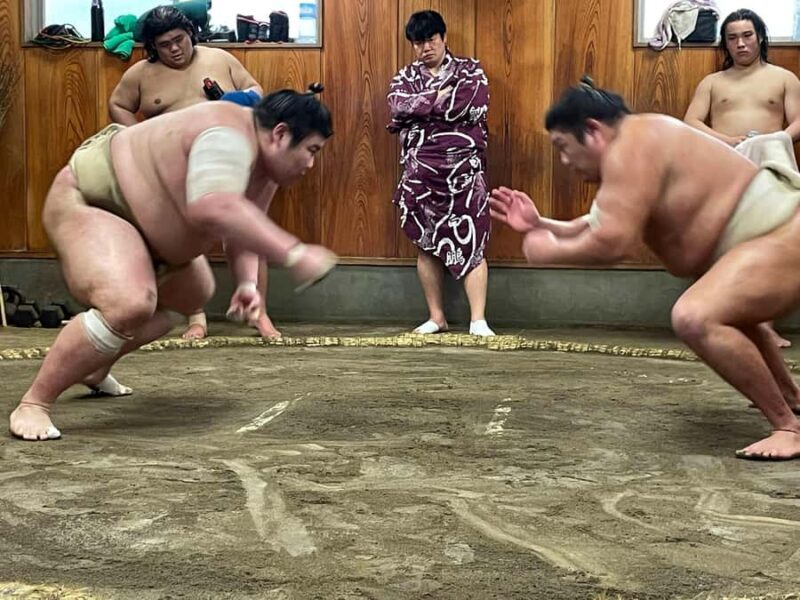 Osaka: Sumo Wrestling Real Practice Viewing Guided Tour - The Itinerary in Detail