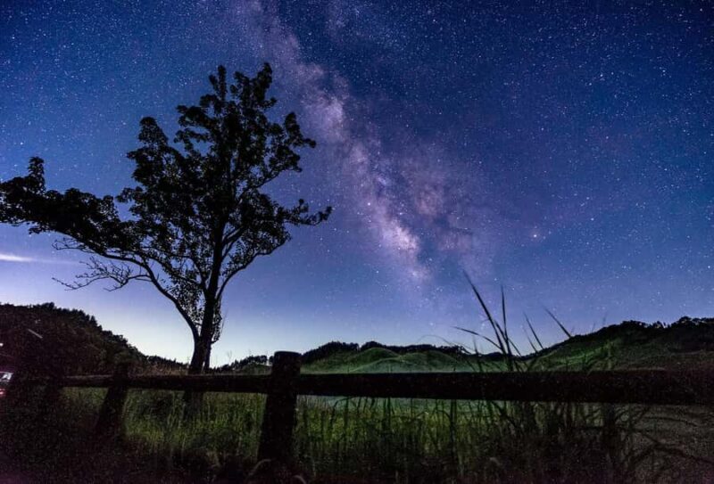 Osaka: Takeda Castle Ruins and Kobe One-Day Tour - Who Is This Tour Best For?