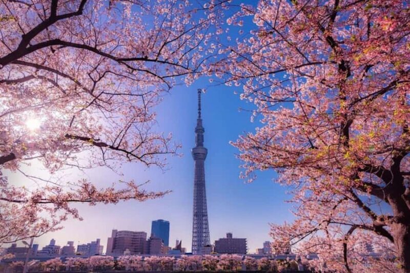 Osaka: Tea Ceremony and Garden Tour with Matcha Workshop - Who Would Love This Tour?