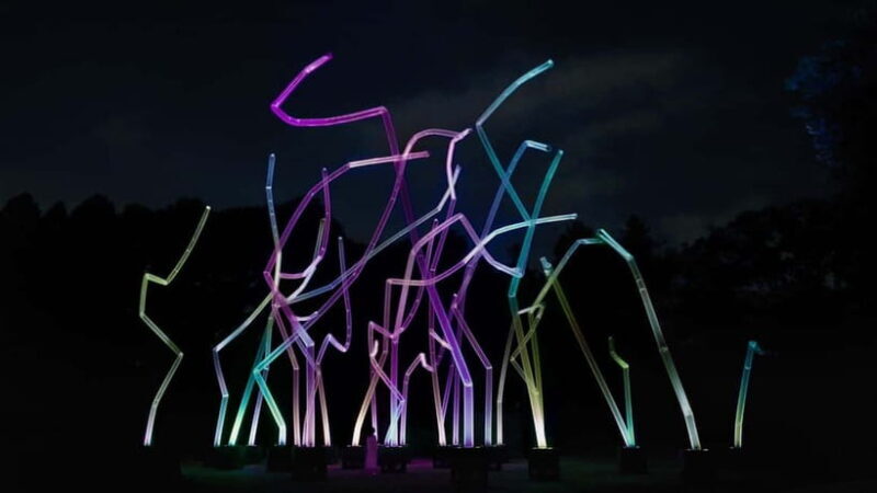 Osaka: teamLab Botanical Garden Entry Ticket - Exploring Osaka’s teamLab Botanical Garden: An In-Depth Review