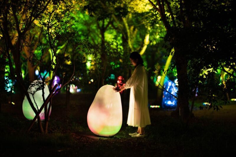 Osaka: teamLab Botanical Garden Entry Ticket - The Value of This Experience