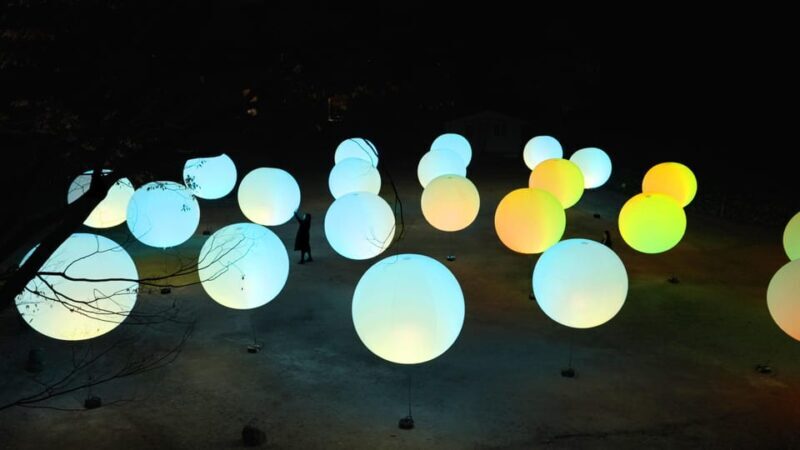 Osaka: teamLab Botanical Garden Entry Ticket - Final Thoughts