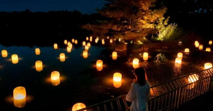 Osaka: TeamLab Botanical Garden Ticket & Private Transfer - Ticket Details and Information