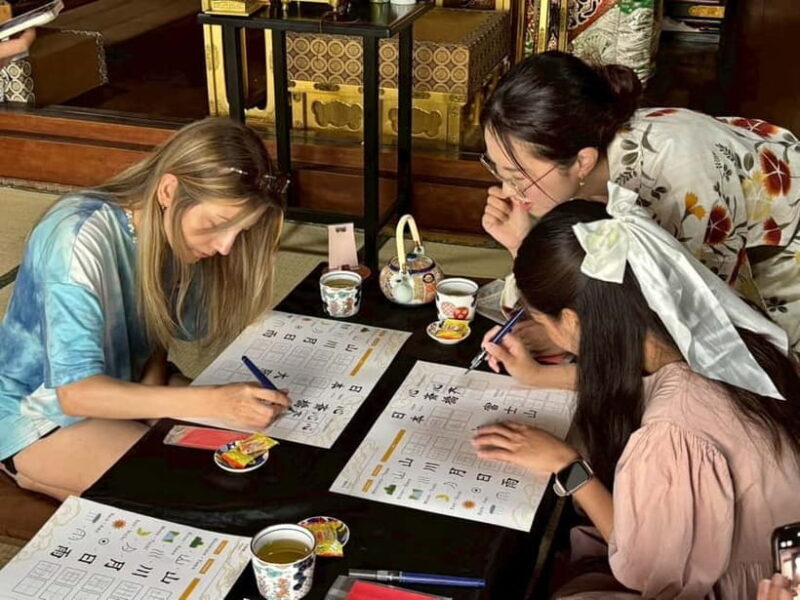 Osaka: Temple Tour and Traditional Calligraphy Lesson - Final Thoughts