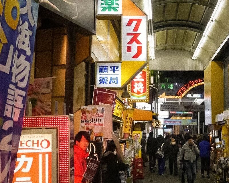 Osaka Tenma & Kyobashi Half-Day Small Group Walking Tour - Who should book this tour?