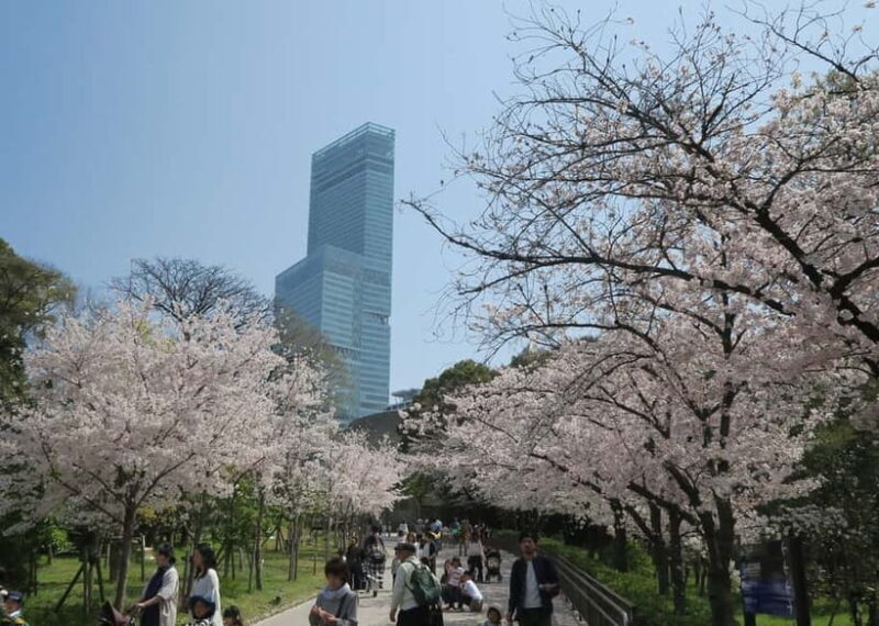 Osaka: Tennoji Ward, Shinsekai 3 hours Walking Tour - Final Thoughts