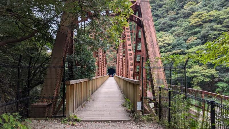 Osaka The Fukuchiyama Abandoned Railway Hike - Authentic Insights from a Recent Traveler