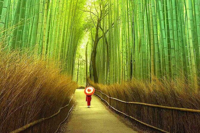 Osaka to Kyoto Arashiyama Bamboo Grove Small Group Tour - Who Is This Tour Best For?