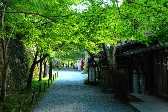 Osaka to Kyoto Arashiyama Bamboo Grove Small Group Tour - FAQ