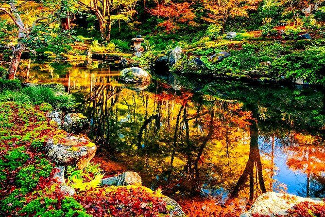 Osaka to Kyoto Arashiyama Bamboo Grove Small Group Tour - Authentic Experiences from Travelers