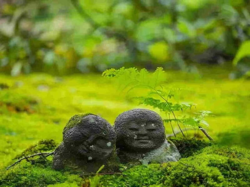 Osaka to Kyoto: Arashiyama Bamboo Grove Small Group Tour - Good To Know