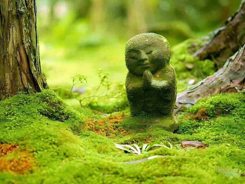 Osaka to Kyoto: Arashiyama Bamboo Grove Small Group Tour - FAQs