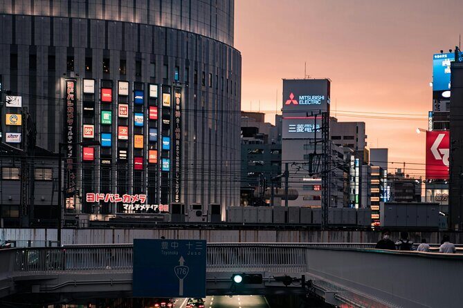 Osaka to Nara Park Private Day Trip with English Driver - Why Choose This Tour?