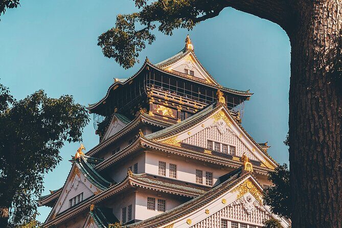 Osaka to Nara Park Private Day Trip with English Driver - FAQ