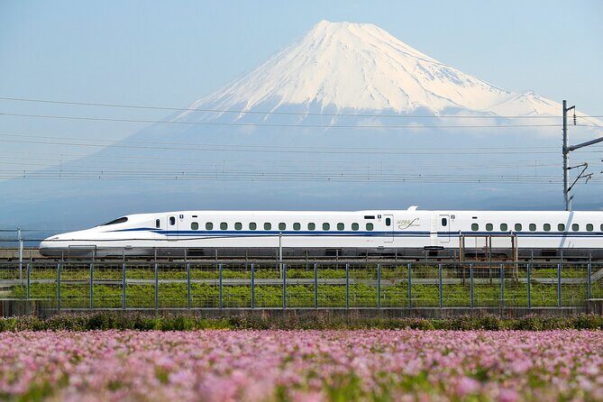 Osaka to Tokyo Bullet Train Trip with Tokyo Subway 24 hour Ticket - The Sum Up
