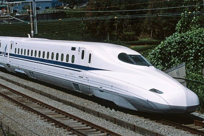 Osaka to Tokyo Bullet Train Trip with Tokyo Subway 24 hour Ticket - Good To Know