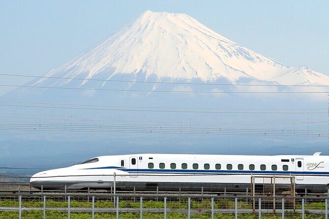 Osaka to Tokyo Bullet Train Trip with Tokyo Subway 24 hour Ticket - What This Experience Offers: An In-Depth Look