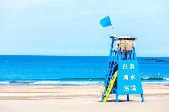 Osaka to Wakayama, Japan One-Day Chartered Tour - Exploring Wakayama on Your Terms