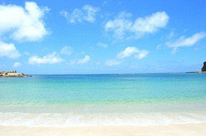 Osaka to Wakayama, Japan One-Day Chartered Tour - FAQ