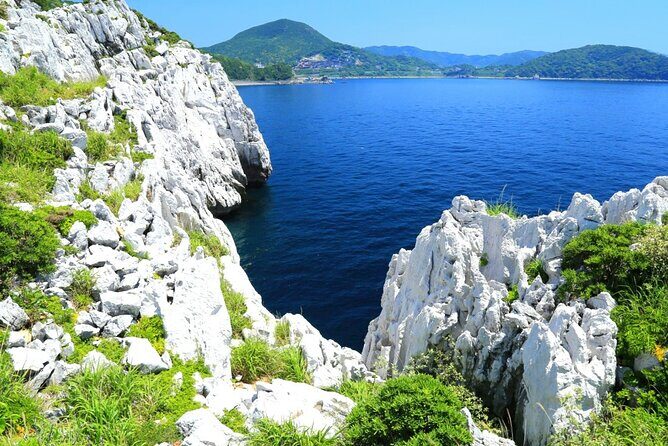 Osaka to Wakayama, Japan One-Day Chartered Tour - Good To Know