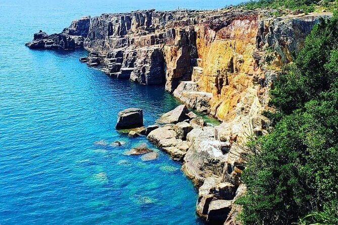 Osaka to Wakayama, Japan One-Day Chartered Tour - Exploring the Highlights of the Osaka to Wakayama Charter Tour