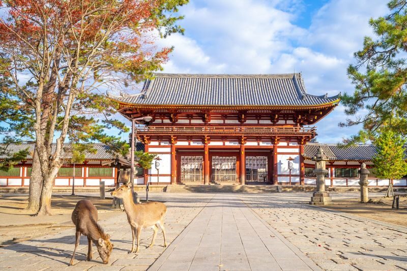 Osaka Todai-ji, Katsuo-ji, Arashiyama Full-Day Tour - Todai-ji and Nara Park: the day’s grand finish