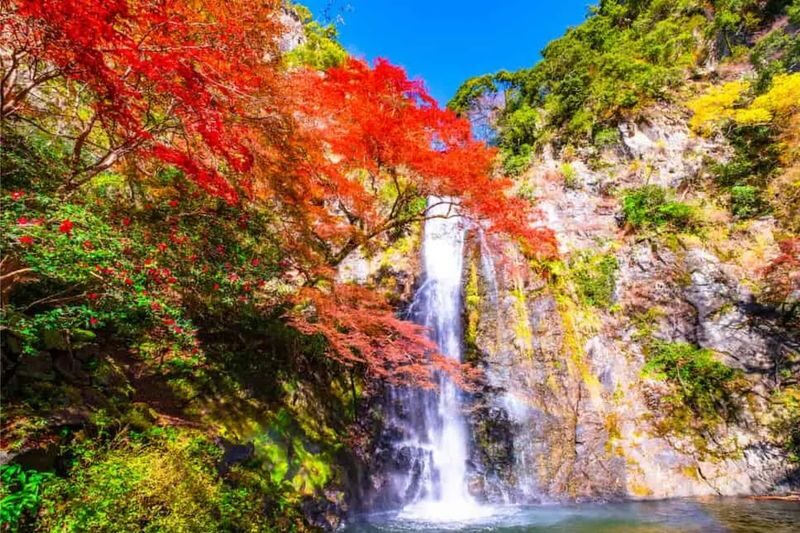Osaka Todai-ji, Katsuo-ji, Arashiyama Full-Day Tour - Who will get the most from this day?