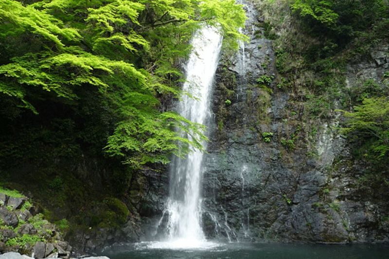 Osaka Todai-ji, Katsuo-ji, Arashiyama Full-Day Tour - Should you book it?