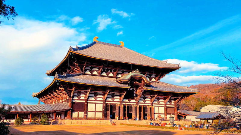 Osaka Wakakusa Mountain & Ikoma Sanjo Amusement Park Full-Day Tour - What the guide adds to the day