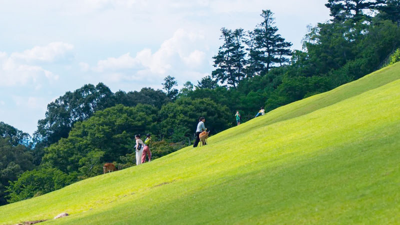 Osaka Wakakusa Mountain & Ikoma Sanjo Amusement Park Full-Day Tour - Is $47.35 good value?