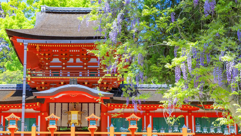 Osaka Wakakusa Mountain & Ikoma Sanjo Amusement Park Full-Day Tour - Who should consider this tour?