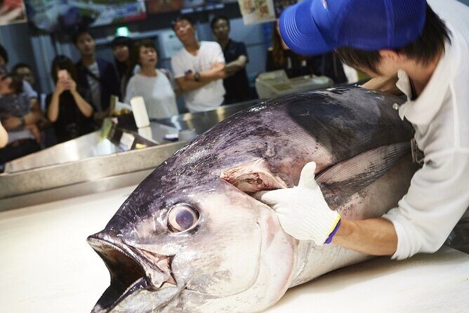 Osaka Wakayama Cat Train, Seafood market, Hot Springs Tour - Final Thoughts